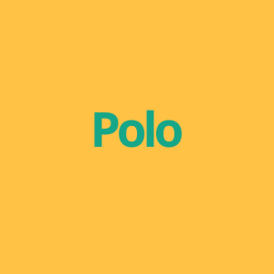 Polo Store